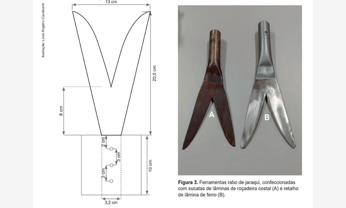 Technical scheme of the 'Rabo de Jaraqui' tool presents manufacturing measurements and examples of equipment produced with metal scraps to assist in banana tree defoliation.