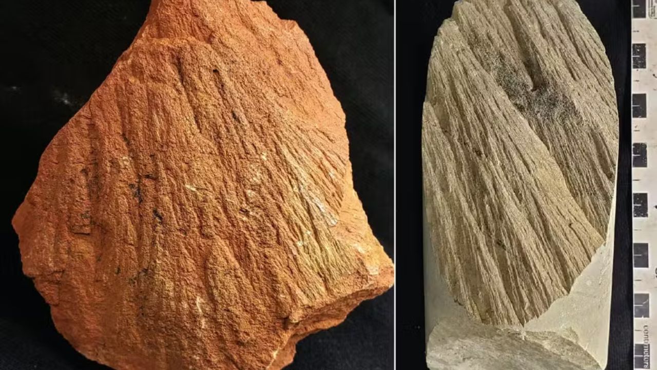 Cientistas confirmam que impacto de meteoro na Austrália há 790 mil anos gerou uma "chuva de ouro" e formou uma cratera única com rochas verdes em Ora Banda.