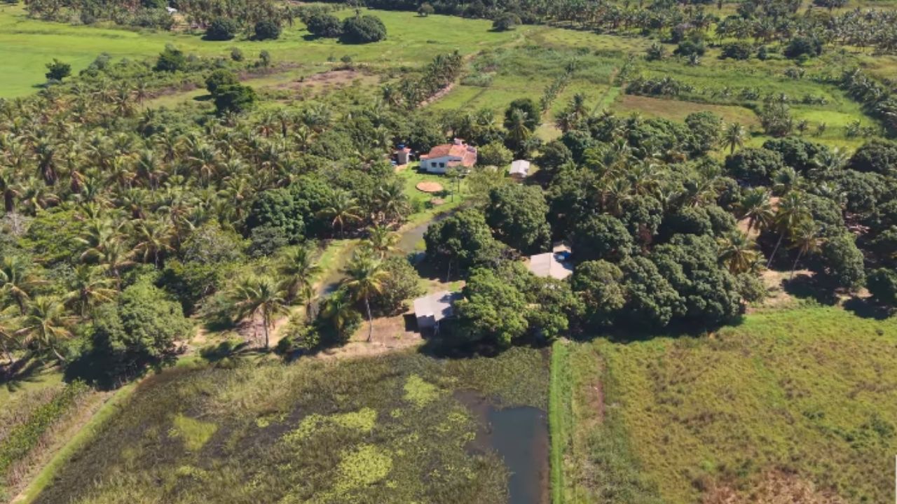 Rio São Francisco tem dunas, água transparente, canoas tradicionais e vilas escondidas em rota rara.