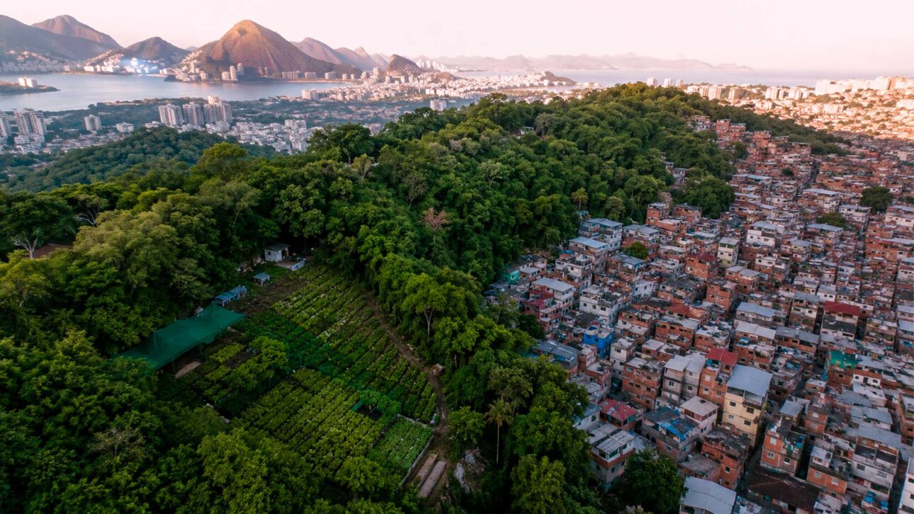 Rio de Janeiro recupera encostas e nascentes com programa de reflorestamento urbano e plantio de árvores nativas