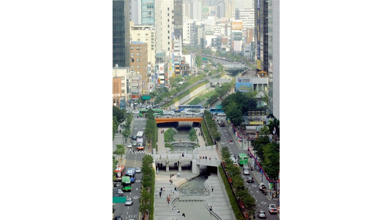 Buried river in Seoul becomes urban park in Cheonggyecheon and increases biodiversity after replacing concrete with water.