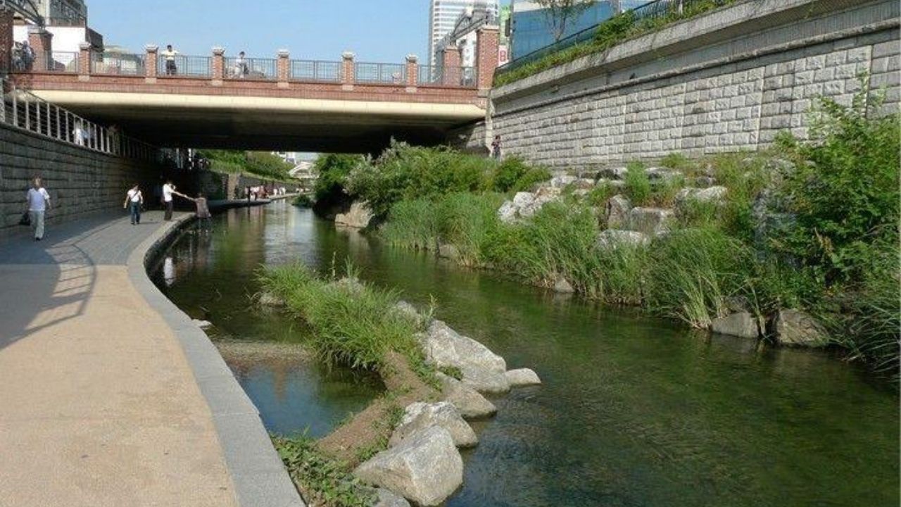 Buried river in Seoul becomes urban park at Cheonggyecheon and increases biodiversity after replacing concrete with water.