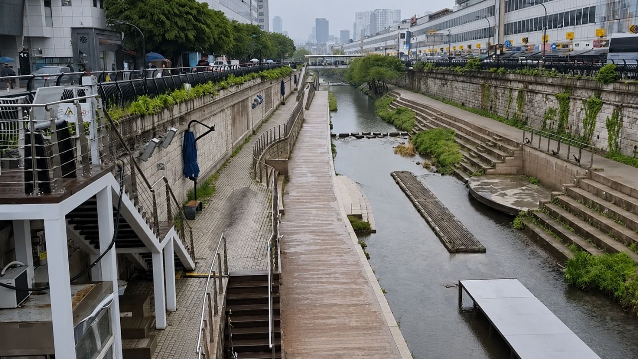 Buried river in Seoul becomes urban park at Cheonggyecheon and expands biodiversity after replacing concrete with water.