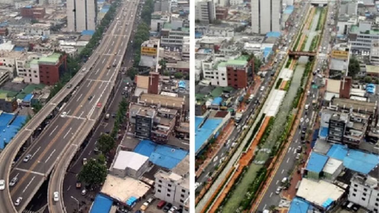 Buried river in Seoul becomes urban park in Cheonggyecheon and increases biodiversity after replacing concrete with water.