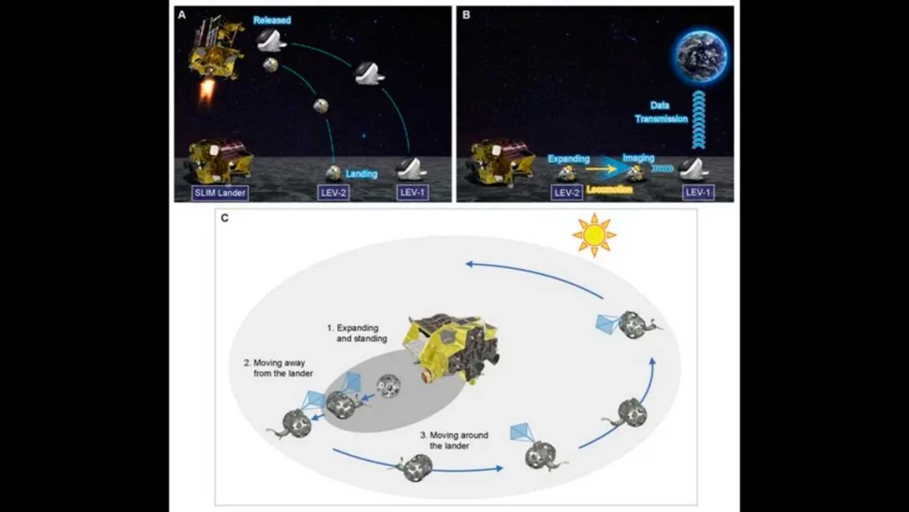 Robô-foi-lançado-com-a-missão-SLIM-antes-de-transformar-a-superfície-lunar-em-laboratório