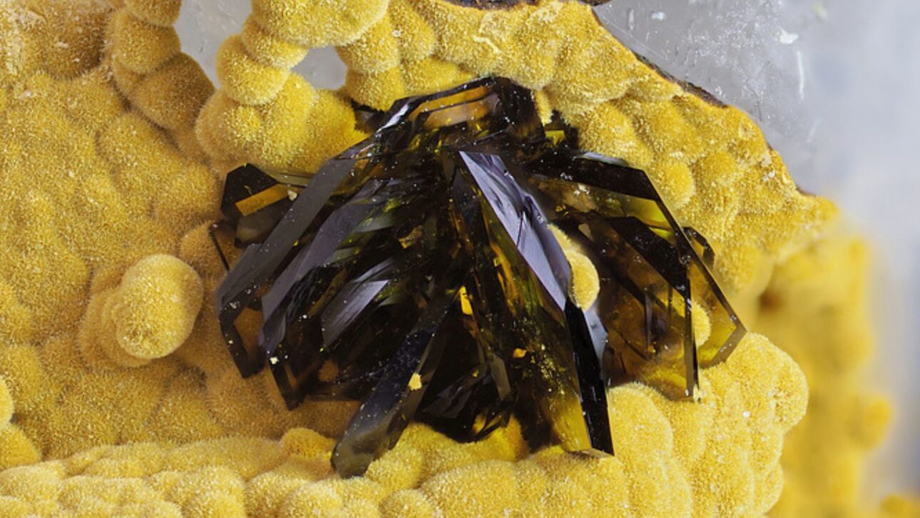 Slottaite, new mineral approved by IMA, was discovered at Clara Mine by Carsten Slotta and is only known at one point in Germany.