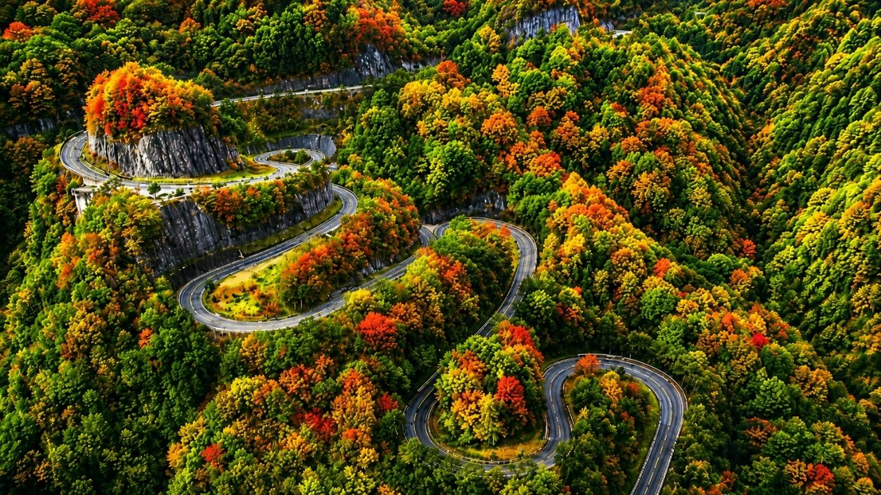 Tail of the Dragon concentra 318 curvas fechadas em 18 km, elimina cruzamentos, proíbe caminhões pesados e transforma uma estrada de montanha em desafio psicológico para (1)