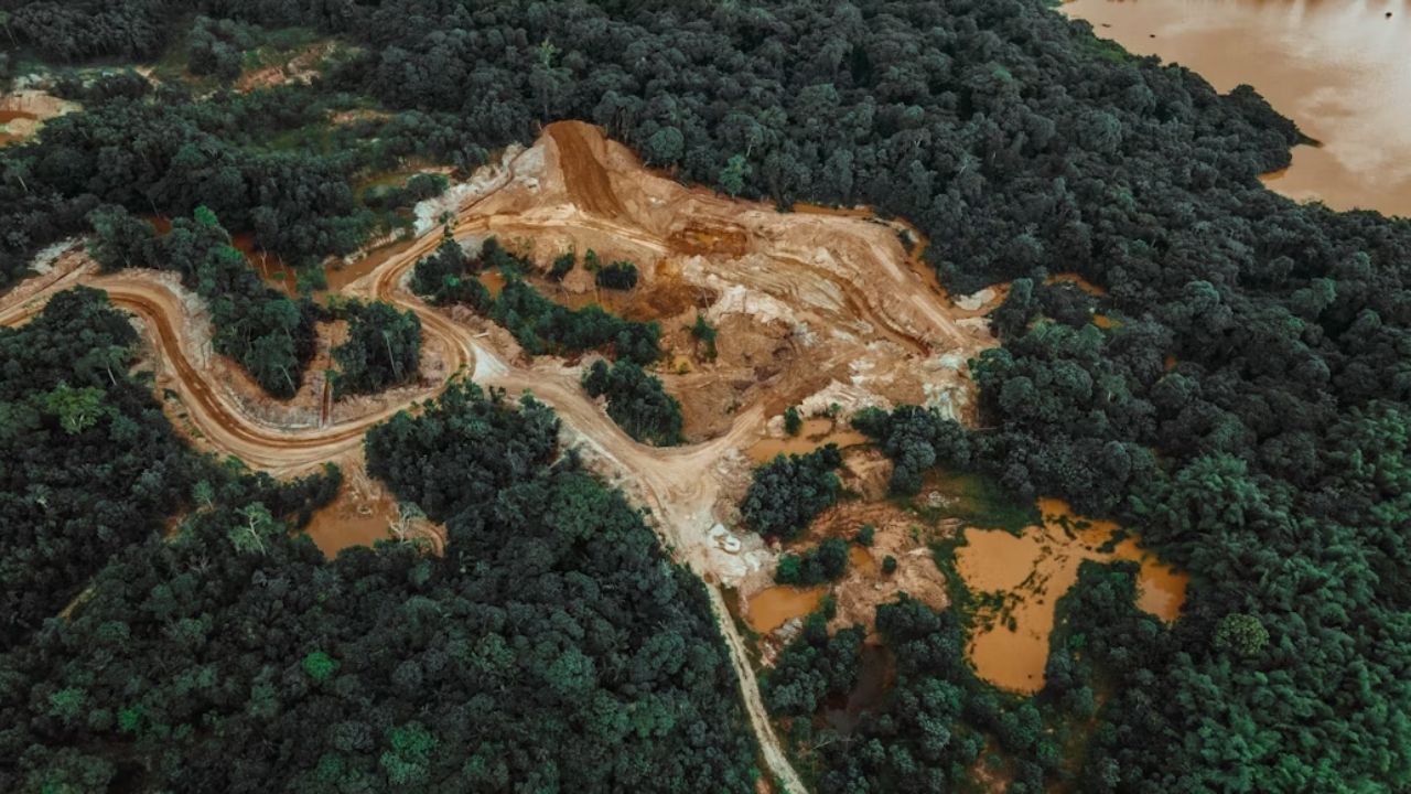 Trump propõe tarifaço dos EUA citando o desmatamento na Amazônia. Entenda as tarifas sobre o Brasil e o impacto na relação Brasil Estados Unidos nesse novo embate comercial.