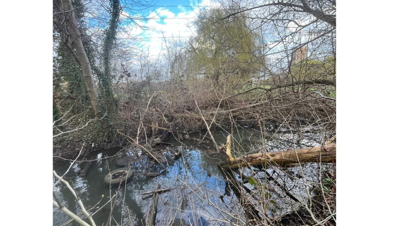 A stretch of the River Roding full of debris, where volunteers conducted a cleanup. Photograph: Paul Powlesland