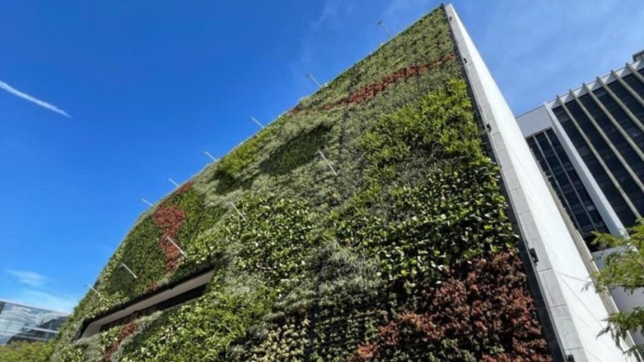 Reproduction/Medellín City Hall Project gathers millions of trees and plants in streets, parks, and rivers