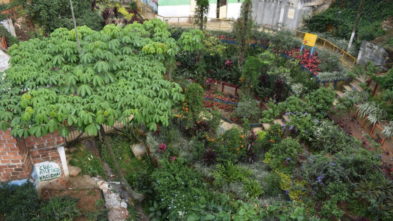 Reproduction/Medellín City Hall Project brings together millions of trees and plants in streets, parks, and rivers