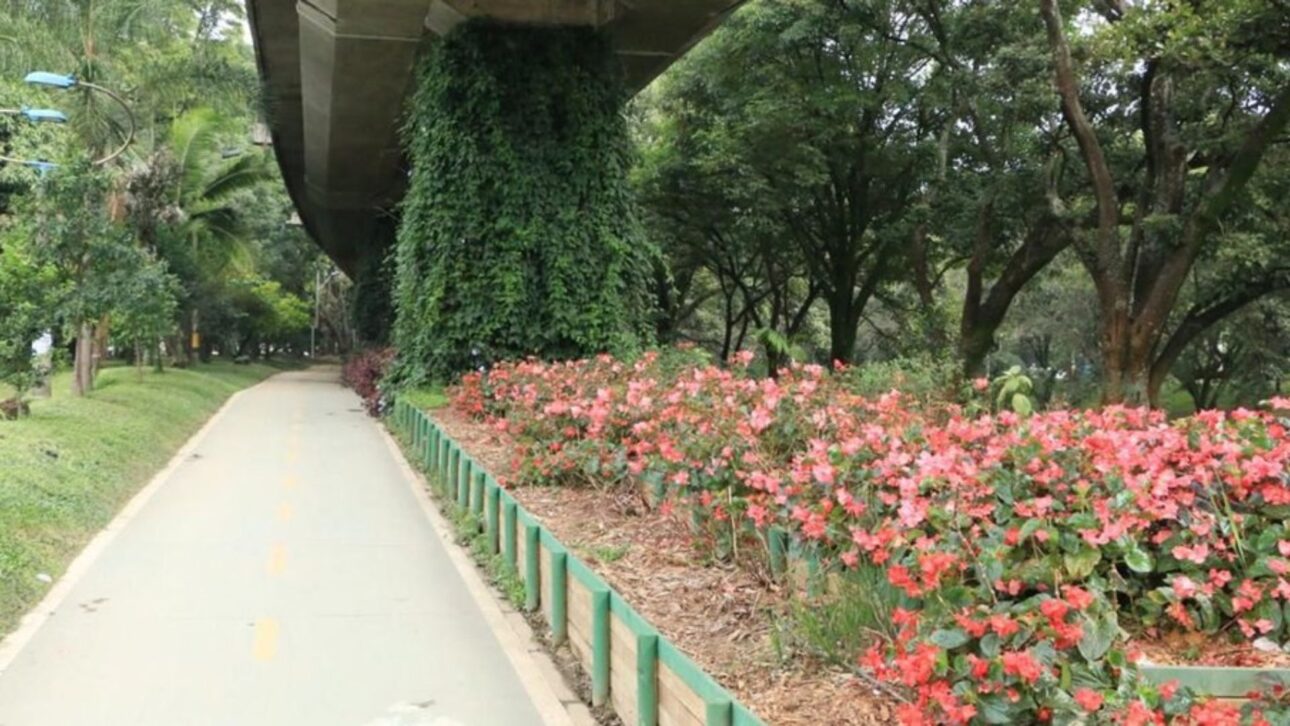 Reproduction/Medellín City Hall Project brings together millions of trees and plants in streets, parks, and rivers