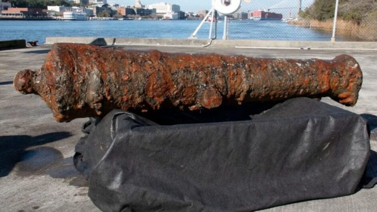 Workers recovered this cannon from the Savannah River in 2022. Savannah District, U.S. Army Corps of Engineers via Flickr under CC BY 2.0 license