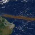 Uma faixa marrom de cerca de 8.850 km ligou a África à América no Atlântico; satélites revelaram ser o maior acúmulo de algas do mundo, recorde em 2025. Entenda.
