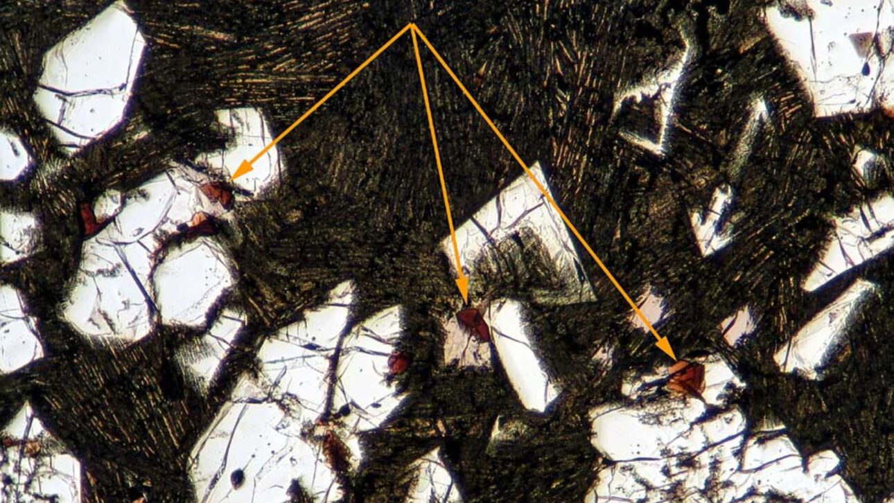 A pedra de 454 gramas, o meteorito NWA 12774, pode ser o resto de um planeta perdido do início do Sistema Solar, sugere estudo com o angrito.