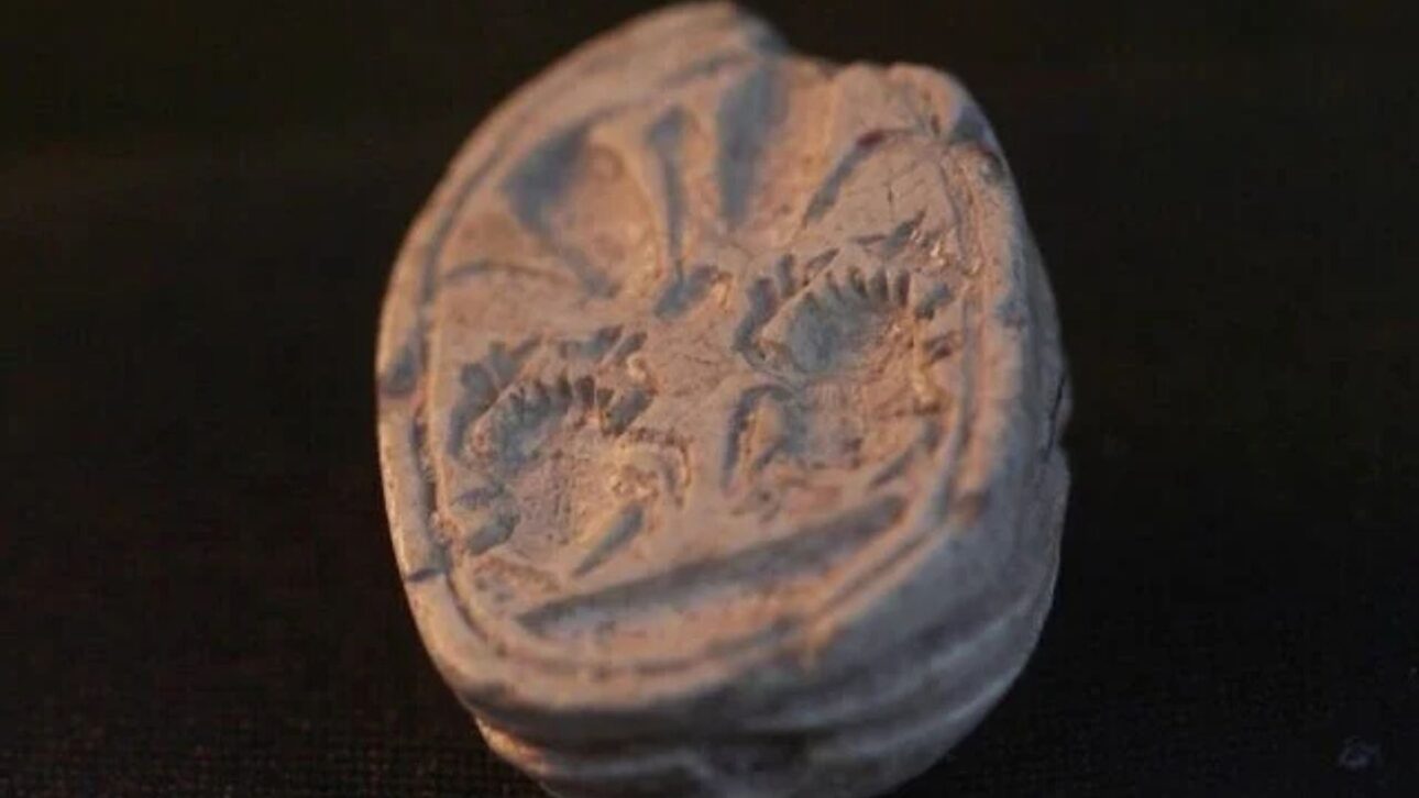 Ziv Nitzan, de três anos, de Moshav Ramot Meir, encontra um amuleto de escaravelho cananeu que remonta há 3.800 anos