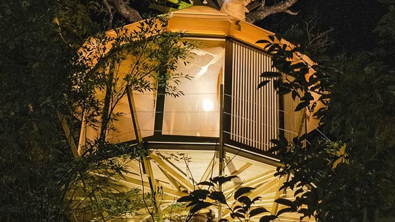 Casas nas árvores em Okinawa, no Japão, fazem parte de um resort sustentável que combina hospedagem de luxo e respeito à natureza.