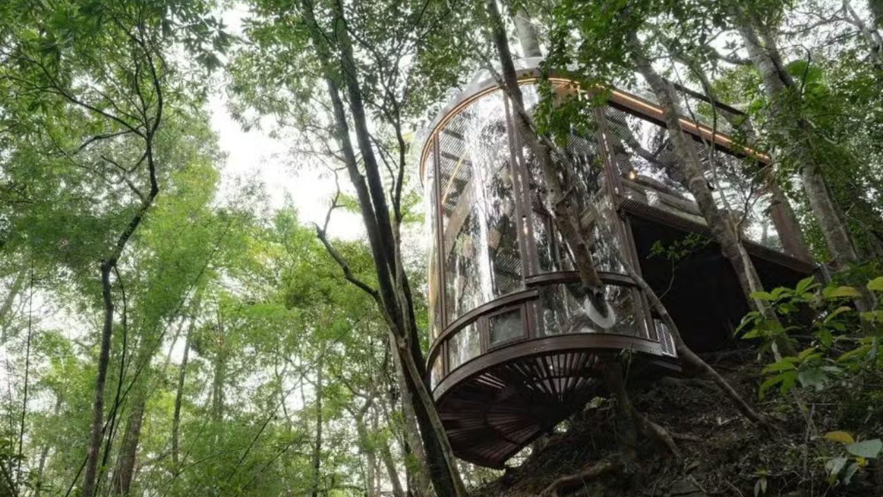 Casas nas árvores em Okinawa, no Japão, fazem parte de um resort sustentável que combina hospedagem de luxo e respeito à natureza.