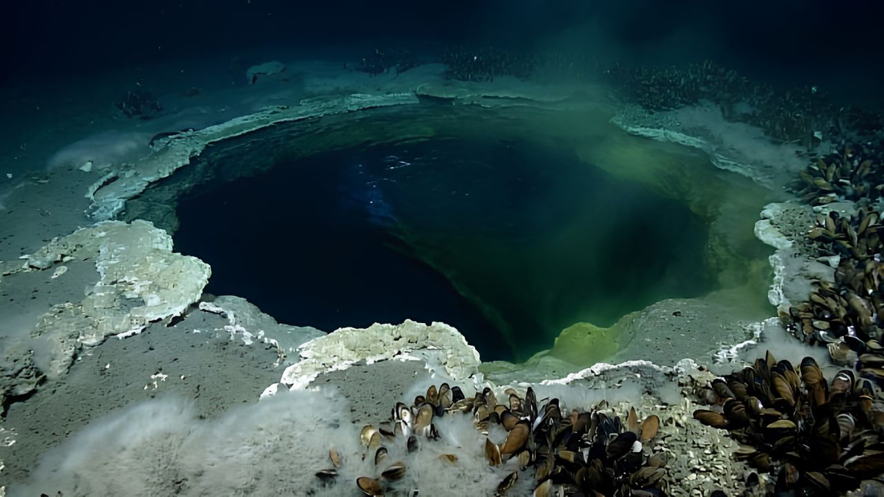 Conozca el lago submarino que existe en el fondo del mar y sorprende a los científicos por reunir condiciones extremas y vida adaptada.