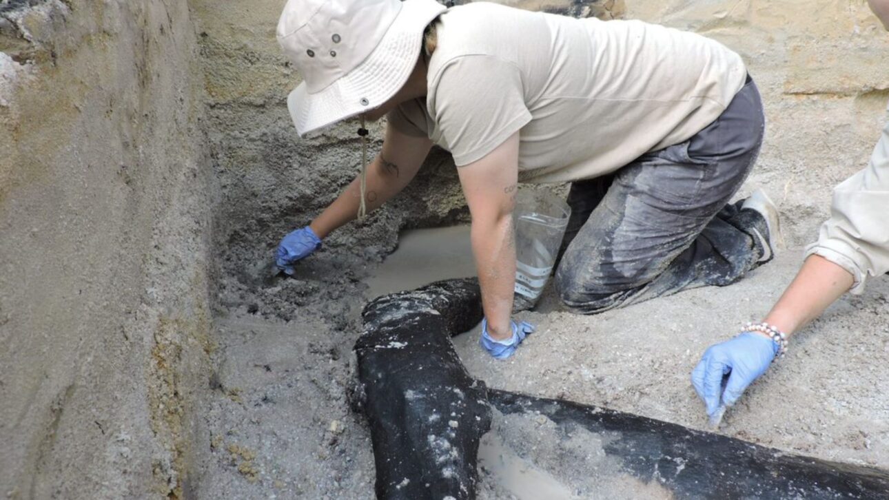Descoberta em Kalambo Falls, na Zâmbia, revelou uma estrutura de madeira com 476 mil anos e pode ser a construção mais antiga já feita por ancestrais humanos.