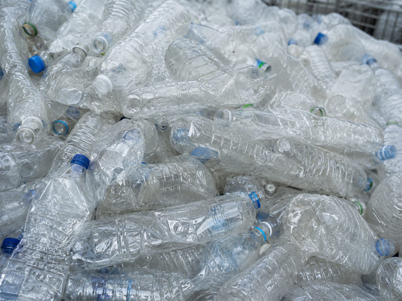 Lixo plástico vira bioplástico: cientistas brasileiros acharam a bactéria BR4, que decompõe PET e produz um plástico biodegradável de alta qualidade. Entenda.