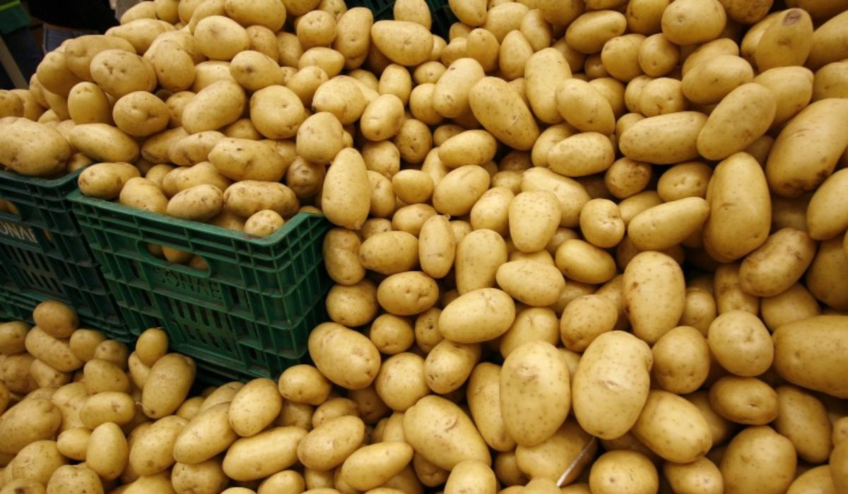 Batata inglesa foi o item que mais teve alta nos preços em 2026
Foto: Reprodução/Divinews/ND Mais