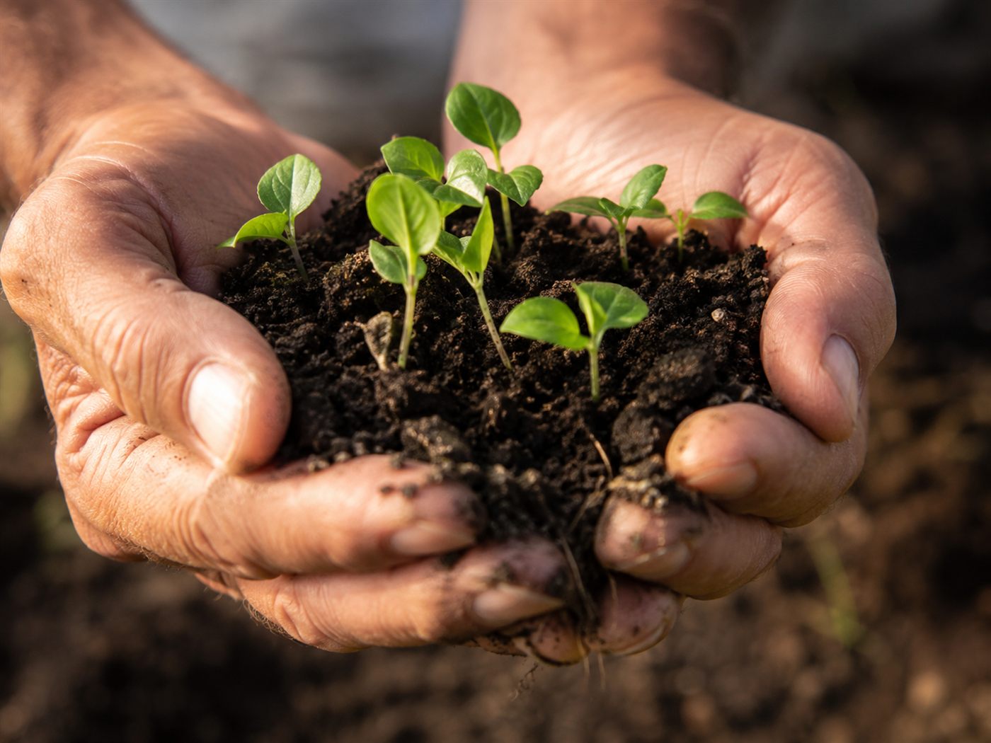 Bioinsumos: o mercado brasileiro chegou a R$ 6,2 bilhões em 2025, com uso 4 vezes maior que a média global. Veja por que o agro troca químico por biológico.