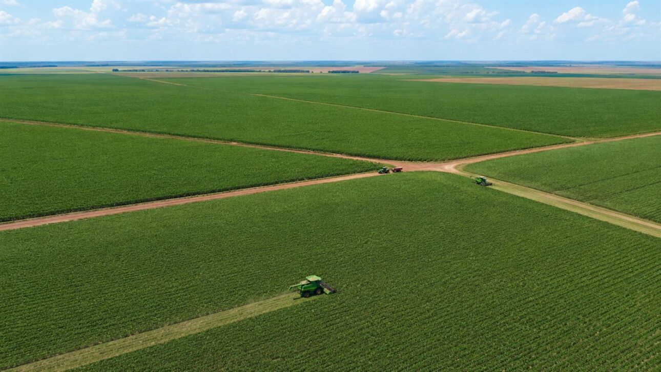 Mato Grosso lidera o uso de bioinsumos no país, puxado pelas gigantescas lavouras de soja do Cerrado.