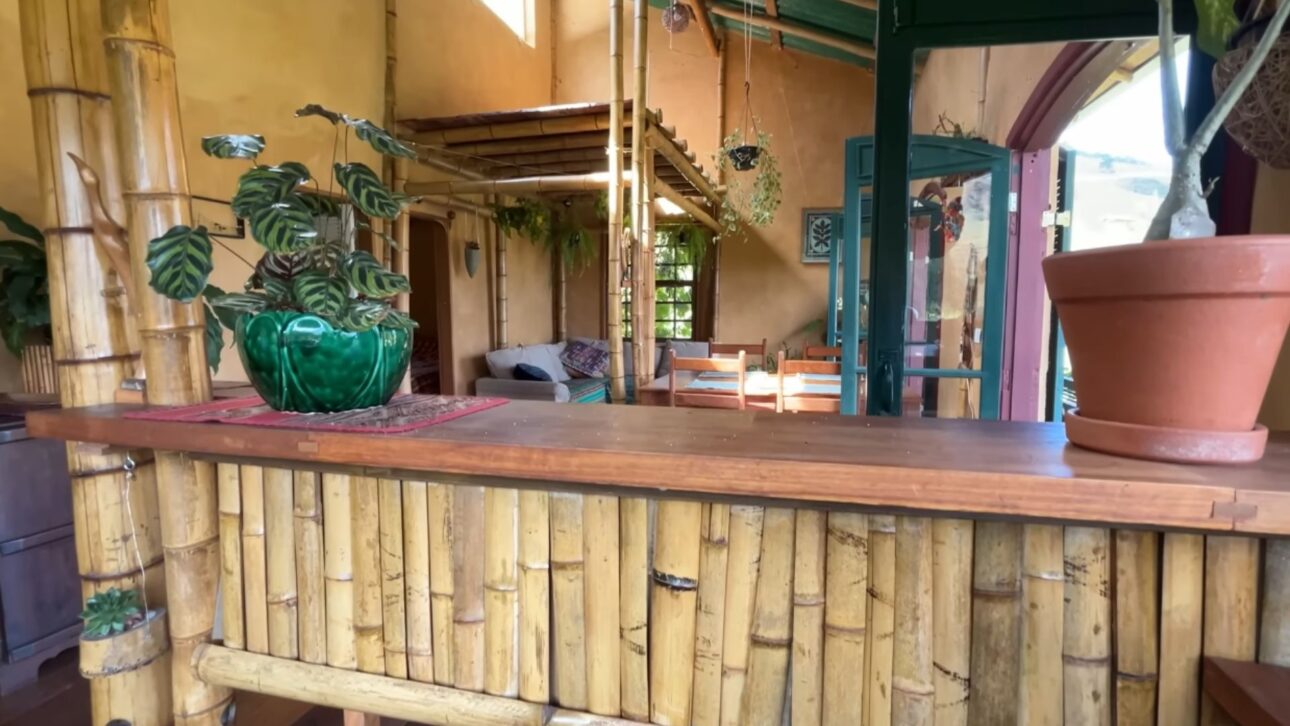Tratamento por imersão em sulfato de cobre garante resistência do bambu contra insetos e fungos