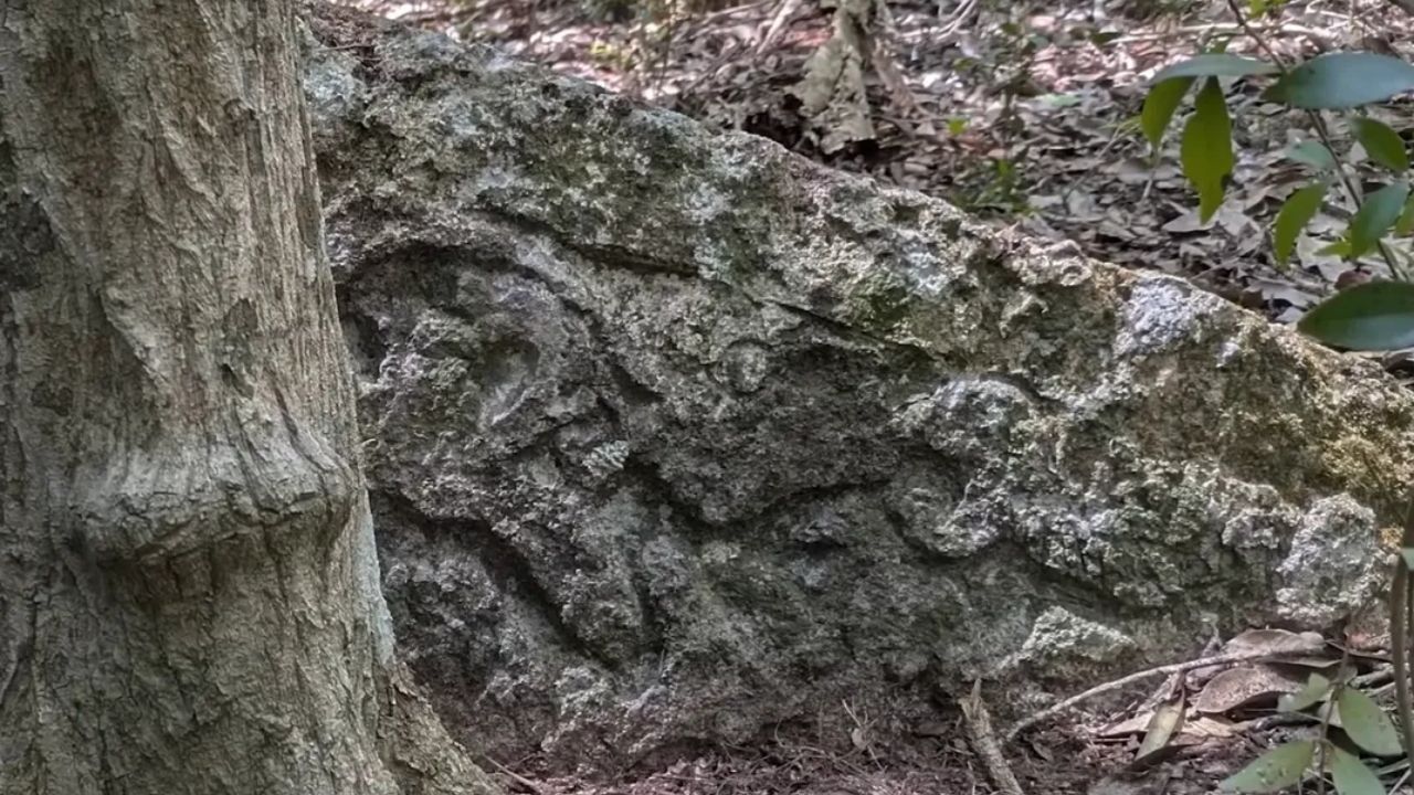Cidade maia Minanbé reúne pirâmide, palácios, canais e 14 monumentos em uma área de 16 hectares preservada na selva do México.