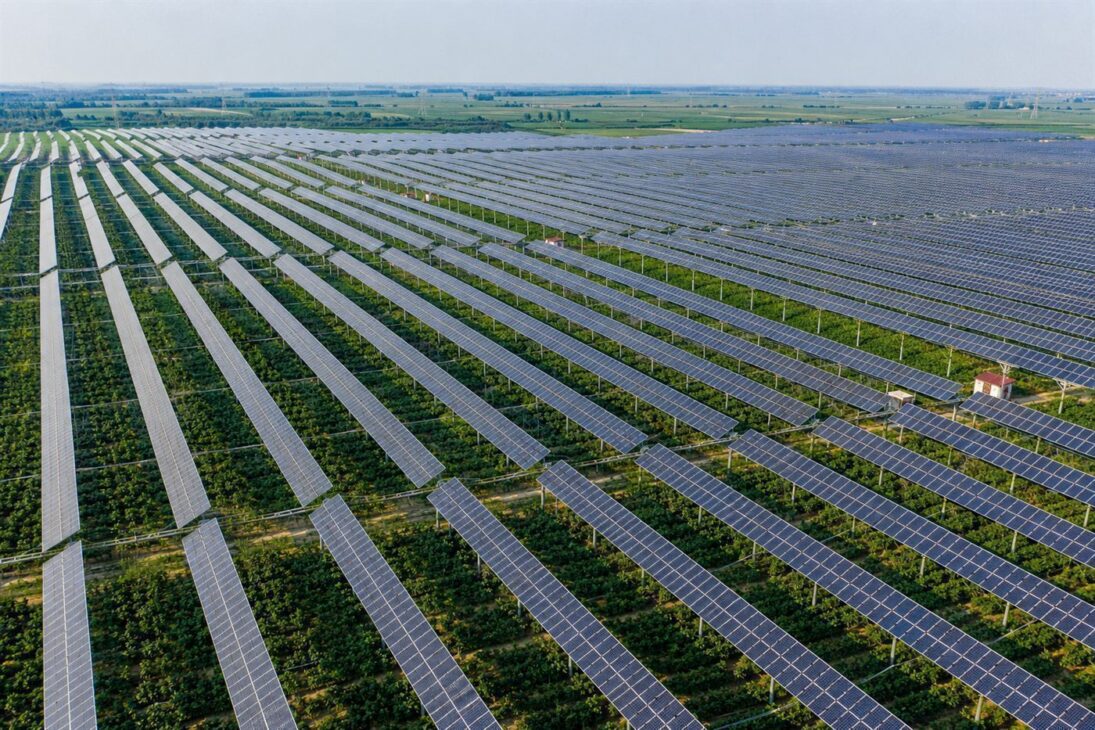 En China, sistemas de cientos de megavatios cubren cultivos enteros y lideran la carrera global.