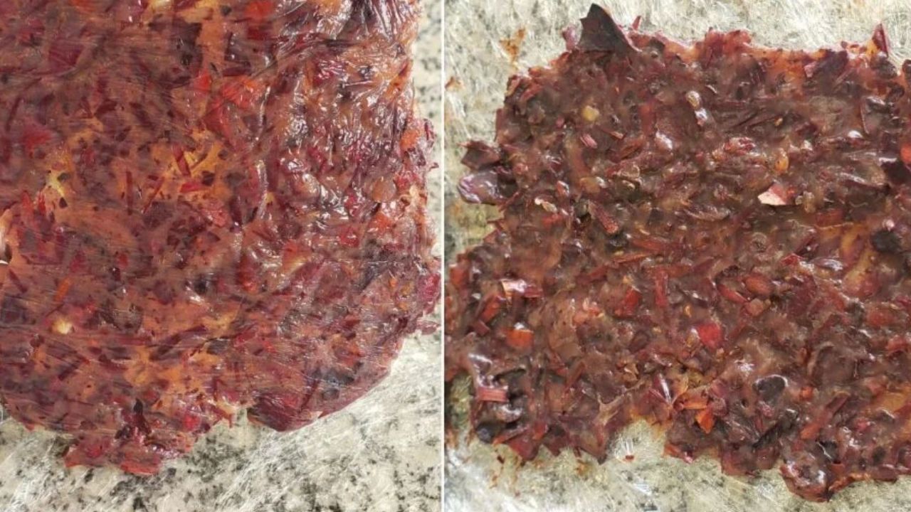 Copos biodegradáveis de pinhão criados por estudante de Curitiba armazenam bebidas quentes ou frias e se degradam em até cinco semanas.