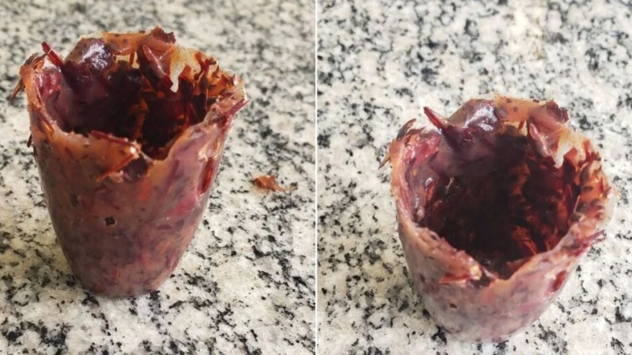 Copos biodegradáveis de pinhão criados por estudante de Curitiba armazenam bebidas quentes ou frias e se degradam em até cinco semanas.