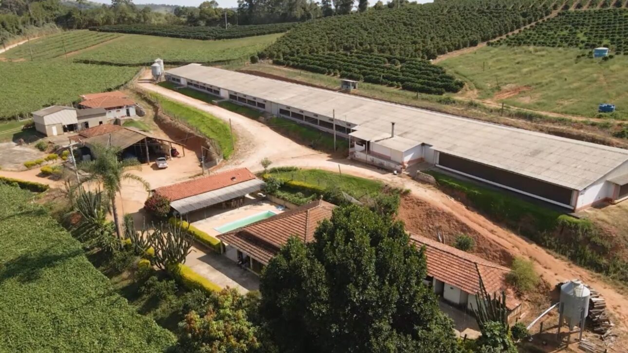 Family of rural producers in a modern chicken farm in the countryside of São Paulo with climate-controlled aviaries and production aimed at export.