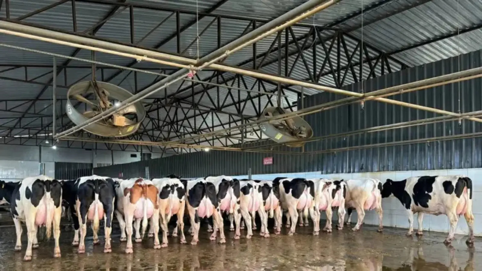 Fazenda Avelan se adapta a seca Nordeste