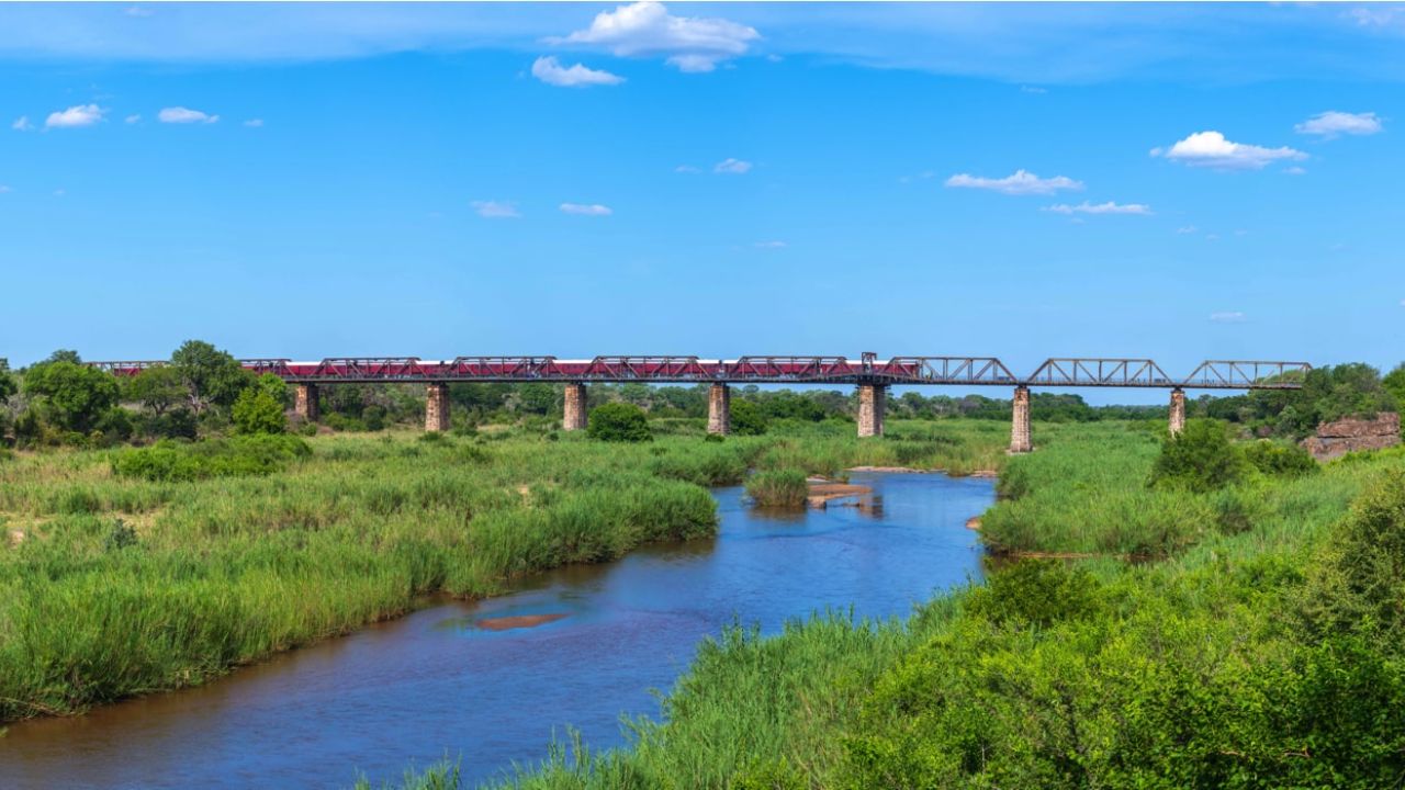 Kruger Shalati: The Train on the Bridge une trem, ponte e hotel de luxo com vista para a vida selvagem africana.