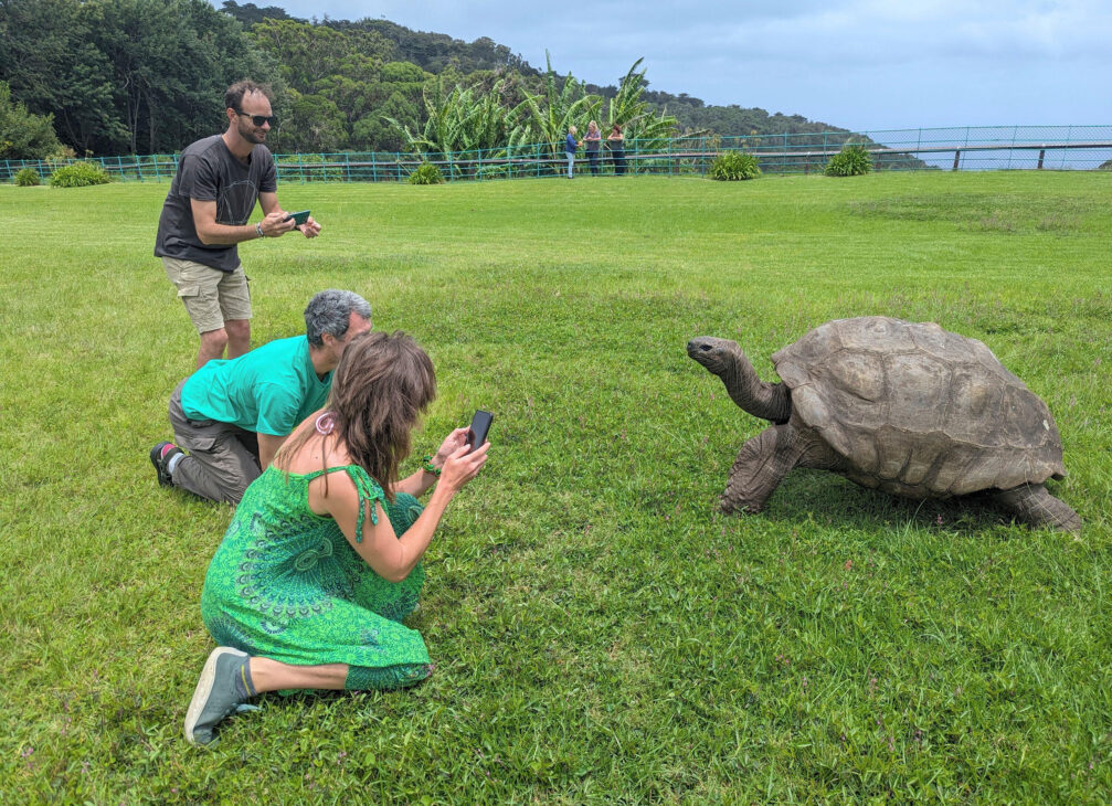 Jonathan, tartaruga de 194 anos, recebe homenagem do Guinness e reforça recorde como animal terrestre vivo mais velho do mundo.