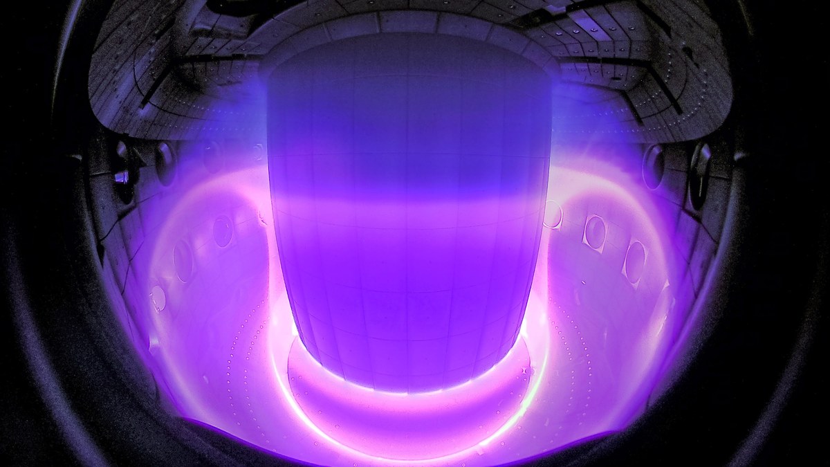 Bright plasma inside a fusion reactor