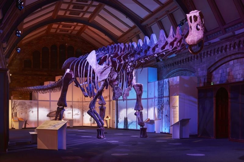 Paleontólogos escavando fósseis de dinossauro no solo