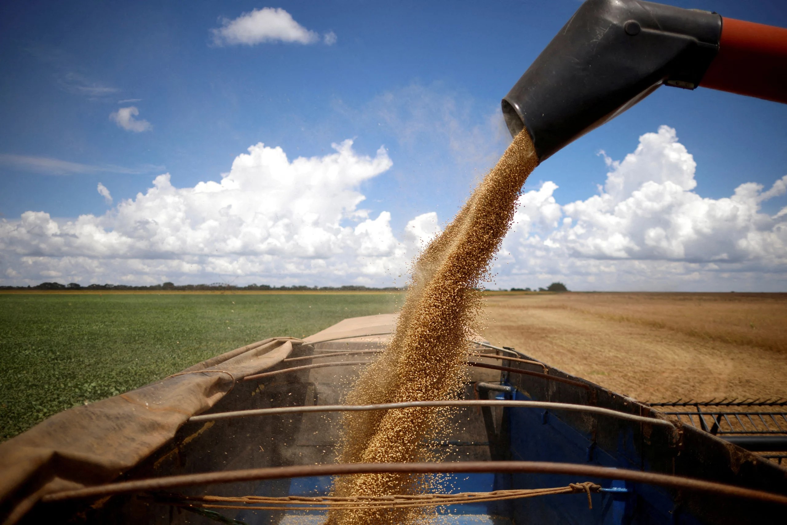 Silos metálicos de armazenagem de grãos vistos de baixo