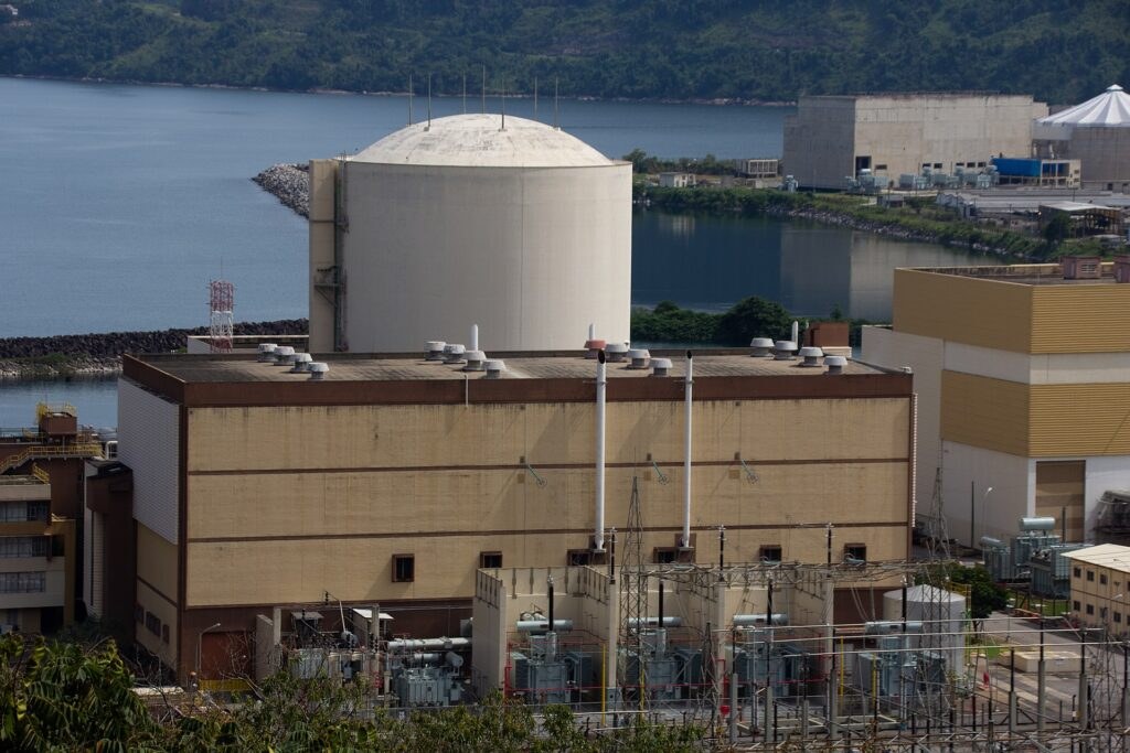 Nuclear plant reactor