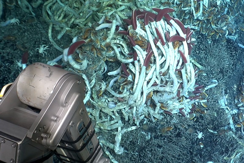 Scientific equipment monitoring the ocean floor