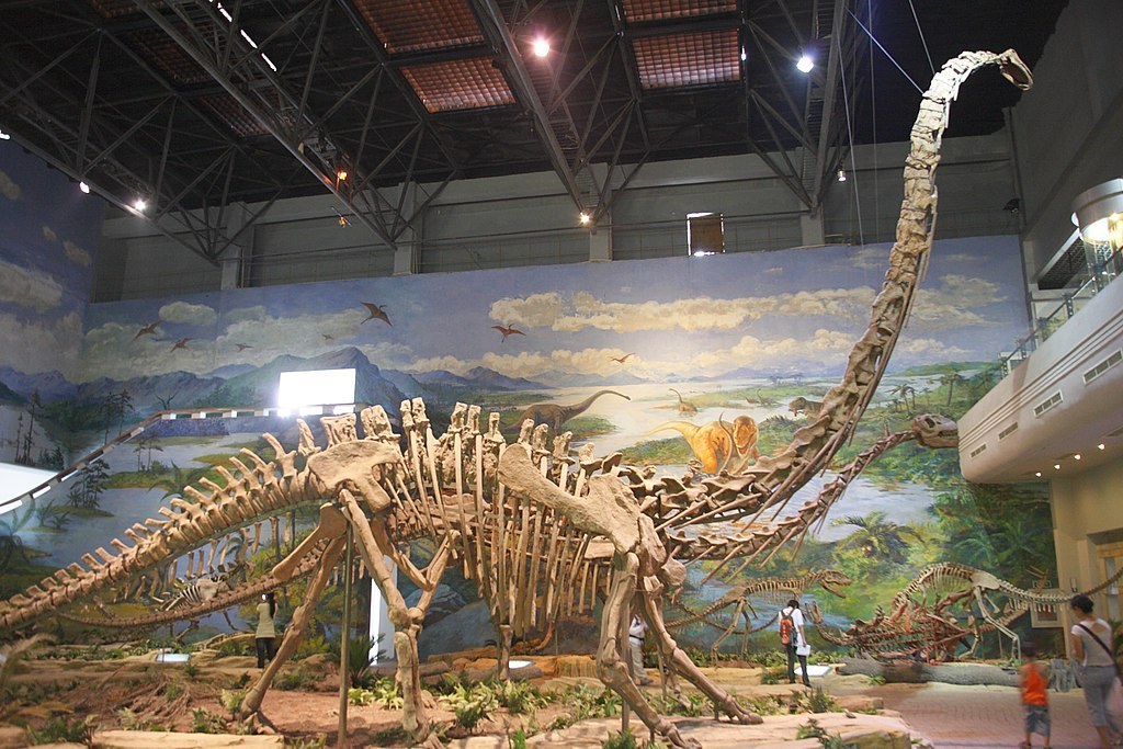 Esqueleto de dinossauro gigante exposto em museu
