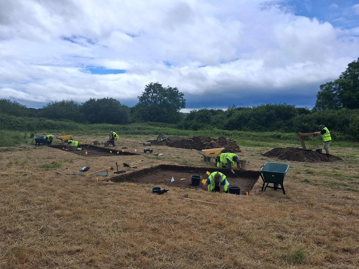 Escavações em Woodstown revelam o que pode ser o maior assentamento comercial viking da Irlanda, com artefatos, oficinas e vínculos com a Noruega.
