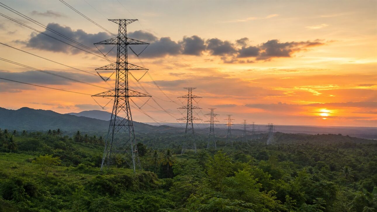 Transmission towers cross the Amazon rainforest to bring stable energy to Roraima.