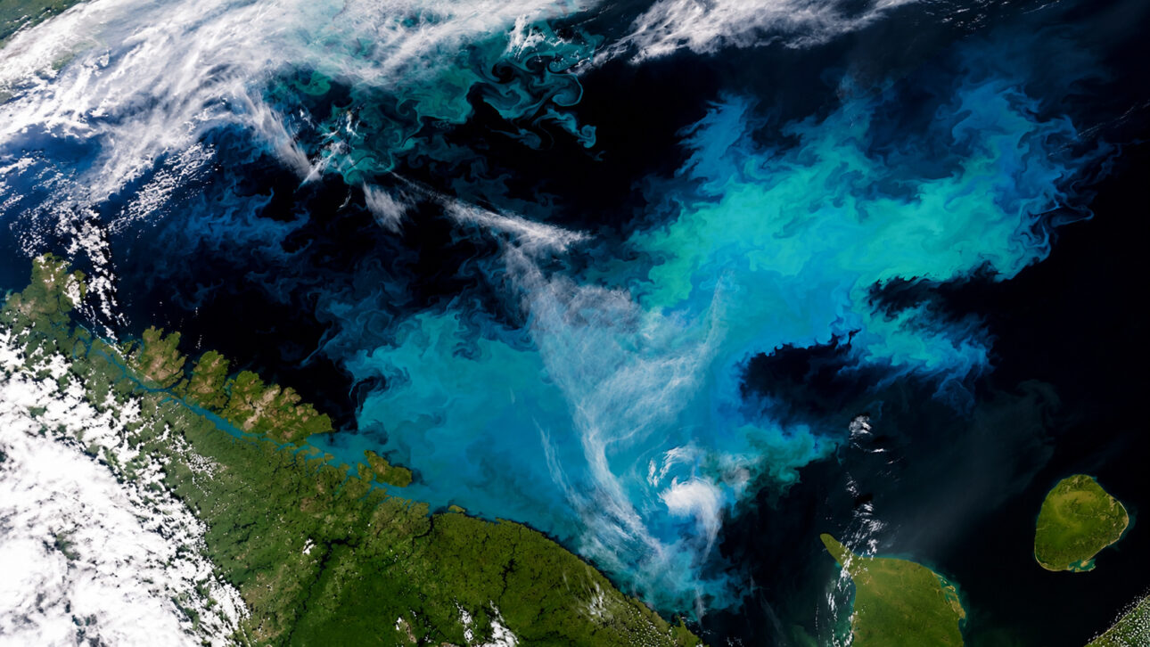 Uma mancha verde e azulada de 200 mil km² apareceu no mar gelado acima da Escandinávia, e os satélites revelaram que não era óleo