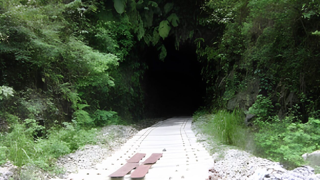 Ramchandra Das cavó un túnel por 14 años para conectar la aldea de Bihar a la carretera principal y estacionar el camión cerca de casa