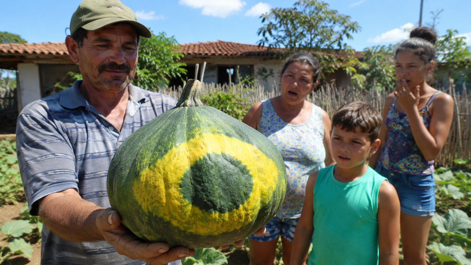 O jerimum da Copa, fruto verde e amarelo de Martins (RN), é a abóbora brasileirinha criada pela Embrapa em 2006 e lembra a bandeira do Brasil.