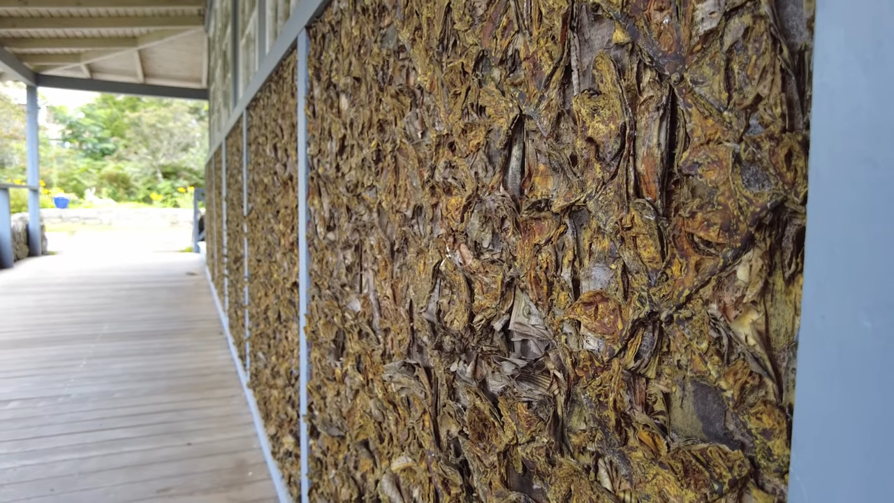 Engenheiro constrói casa com mais de 100 mil jornais velhos e impressiona pela resistência; conhecida como Paper House
