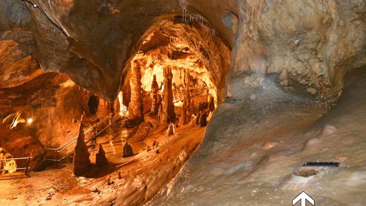 Footprints found in a cave in Italy reveal how humans and a dog traveled 400 meters over 14,000 years ago.